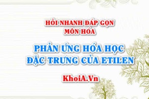 Phản ứng hóa học đặc trưng của Etilen C2H4 là phản ứng nào? Hỏi nhanh đáp gọn môn Hóa